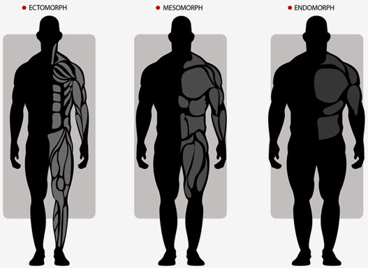 testosterone concept of body physique part of strong male in black