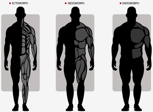 I'm 18, 5'4 and I weigh like 42kg. I have a small body frame, specifically  small bones. Is it possible for me to get more muscle mass despite having  small bones? 